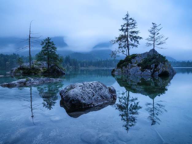 霧の湖と木々の間の湖ヒンターシードイツの風景