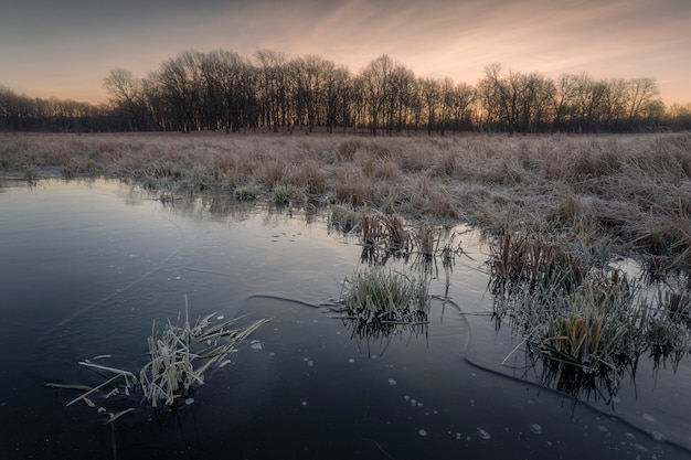 lake ice and trees