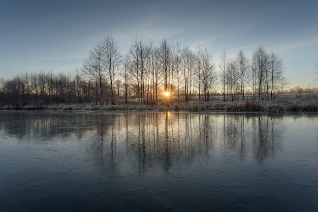 lake ice and trees