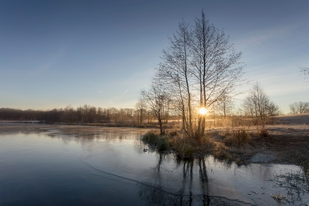 lake ice and trees