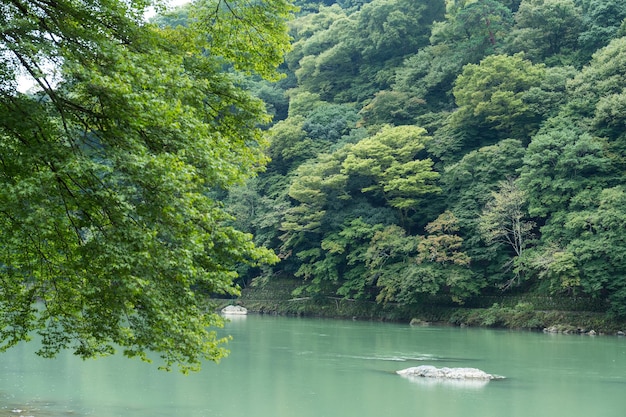 写真 嵐山、日本の湖