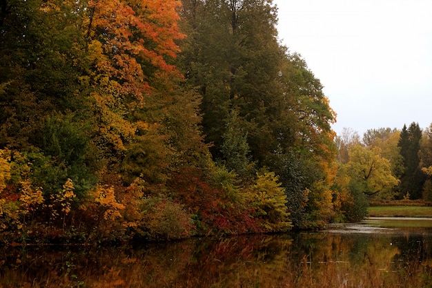 Lake in de herfst park