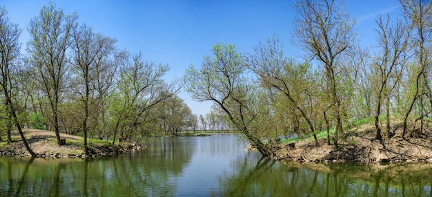 Озеро в заповеднике аскания-нова в украине