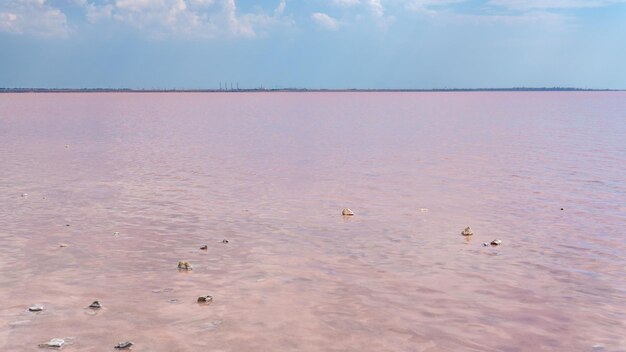 湖は地平線のピンク色の水に塩辛い青い雲です