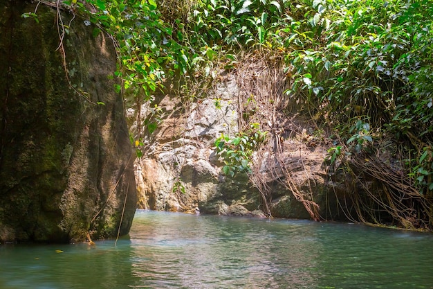 A lake among the jungle and rocks with lianas Tropical Nature