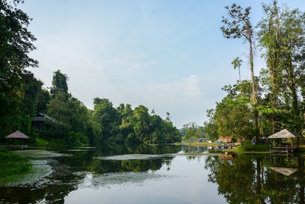 クレーティング滝国立公園タイの湖