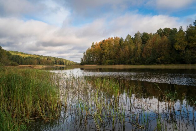 Lake Ladoga bij het dorp Lumivaara op een zonnige herfstdag Ladoga skerries Republiek Karelië Rusland