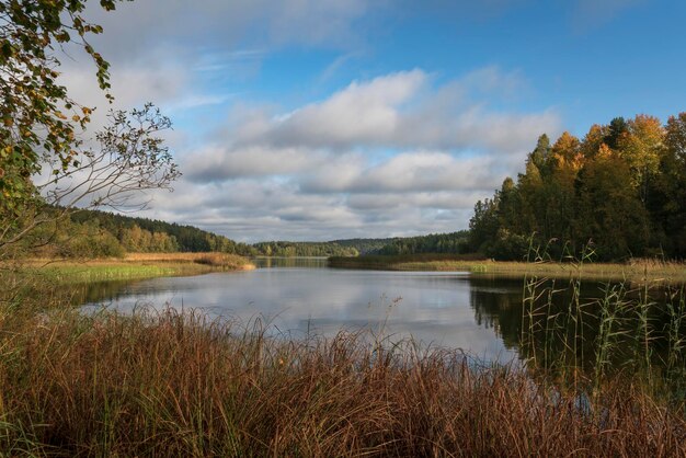 Lake Ladoga near village Lumivaara on an autumn day Ladoga skerries Lakhdenpokhya Karelia Russia