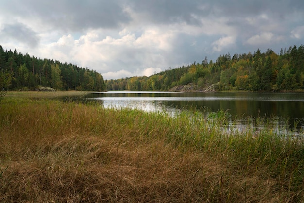 Lake Ladoga near village Lumivaara on an autumn day Ladoga skerries Lakhdenpokhya Karelia Russia