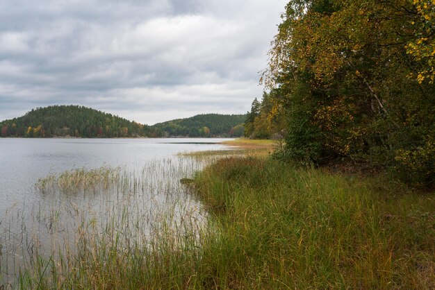 Photo lake ladoga near village lumivaara on an autumn day ladoga skerries lakhdenpokhya karelia russia