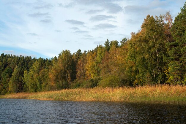 Lake Ladoga near village Lumivaara on a sunny autumn day Ladoga skerries Republic of Karelia Russia