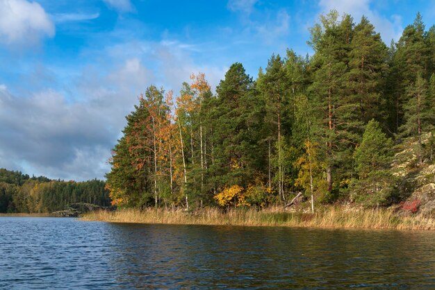 Lake Ladoga on a sunny autumn day Ladoga skerries Lumivaara Lakhdenpokhya Karelia Russia