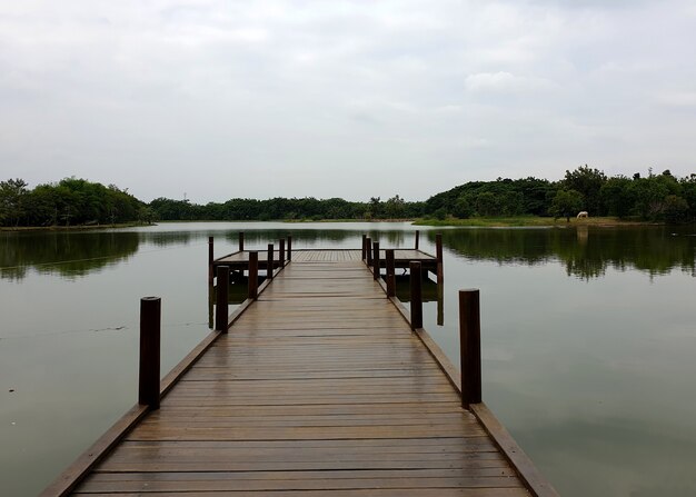 薄暗い天候の湖の景色に着陸する湖