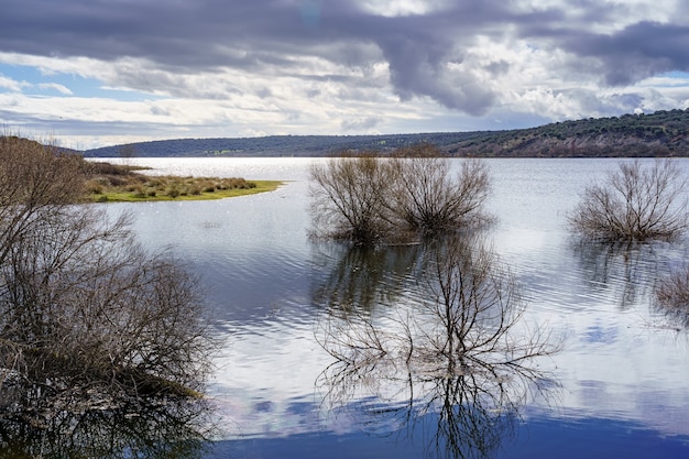 Lake landscape with plants and trees in the water, dark clouds and reflections of the sun in the water. Madrid Guadalix. Europe.