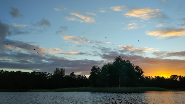 Озеро в Латвии с островком. Летний пейзаж со спокойной водой, закатным небом и лесом.