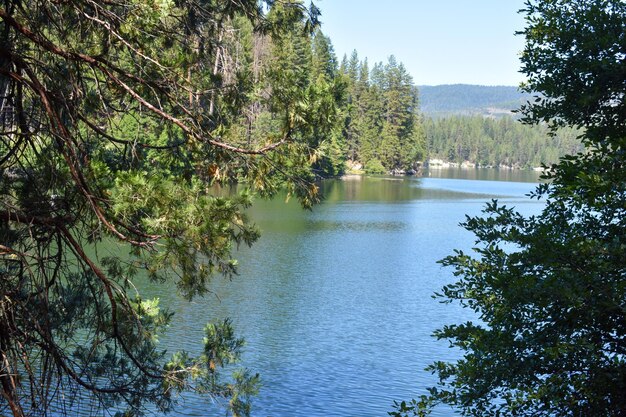 Photo lake life water and canoes