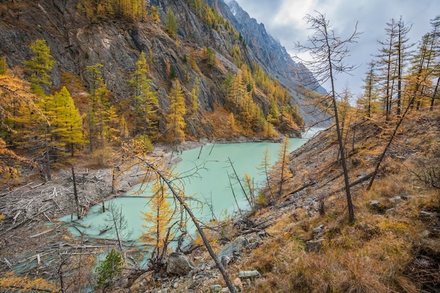 Foto lake maashey in de herfst altai-gebergte zuid-siberië, rusland