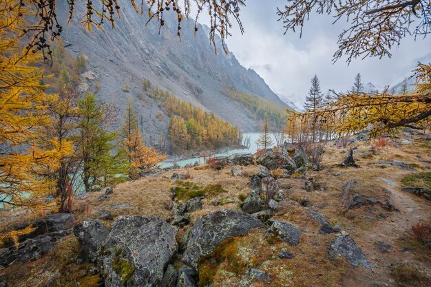 Lake Maashey in de herfst Altai-gebergte Zuid-Siberië, Rusland