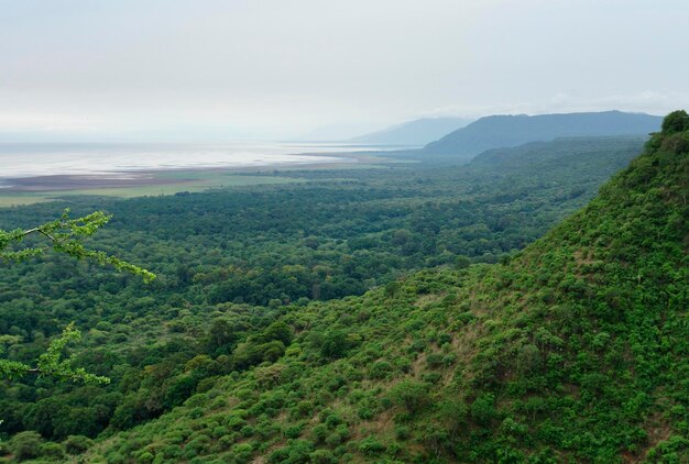 Lake Manyara National Park in Africa