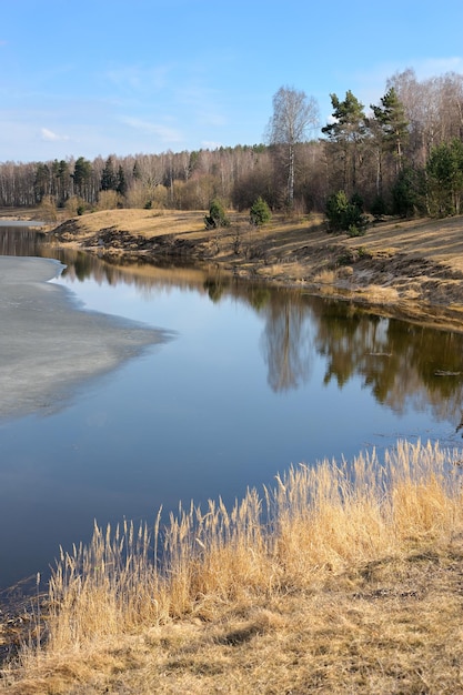 Lake in March