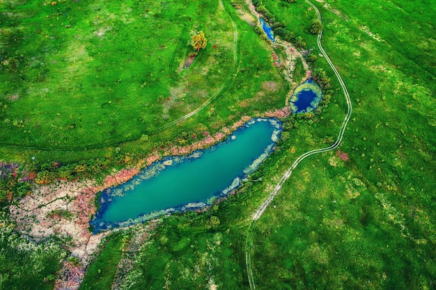 牧草地の湖