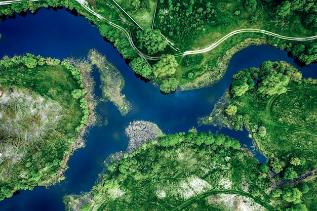 牧草地の湖