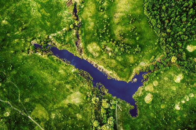 牧草地の湖