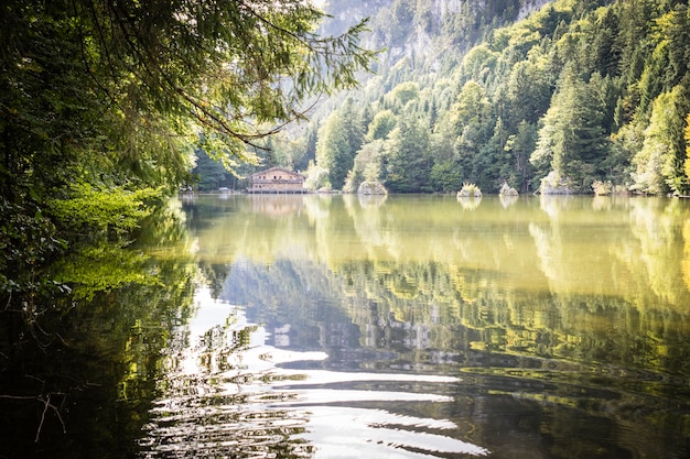 Озеро посреди леса