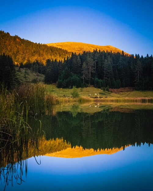 The lake and mountain look amazing in autumn