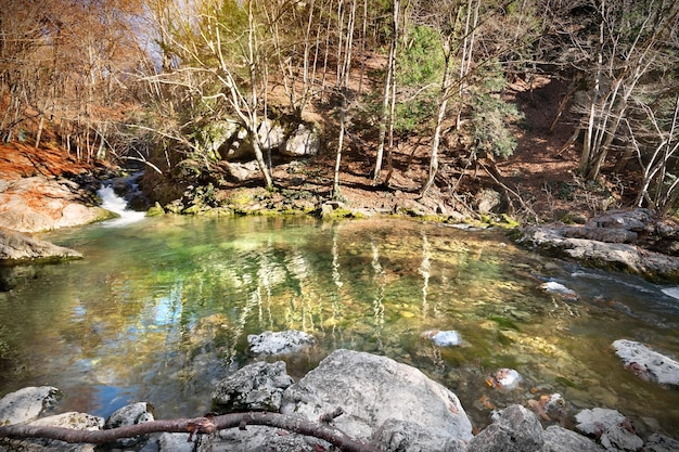 森の背景にある山の湖