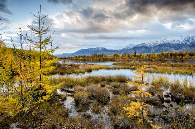 Lake and mountains landscape