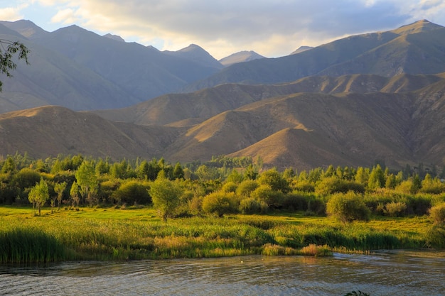 Lake in the mountains Quiet bay in the greenery at sunset Place for rest Kyrgyzstan Lake IssykKul