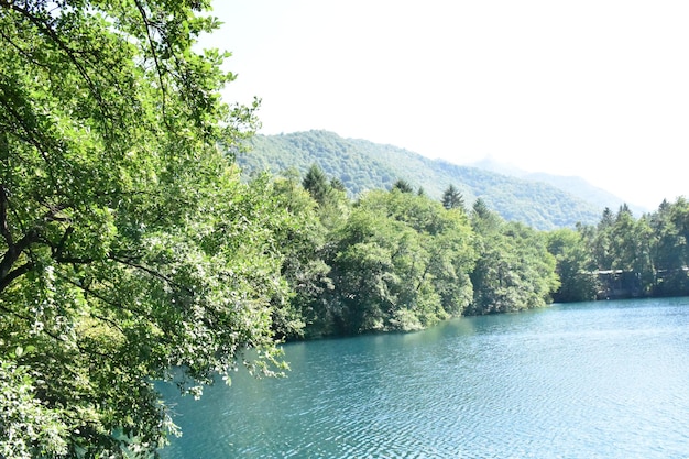 lake in the mountains surrounded by trees