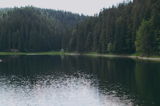 A lake in the mountains with trees