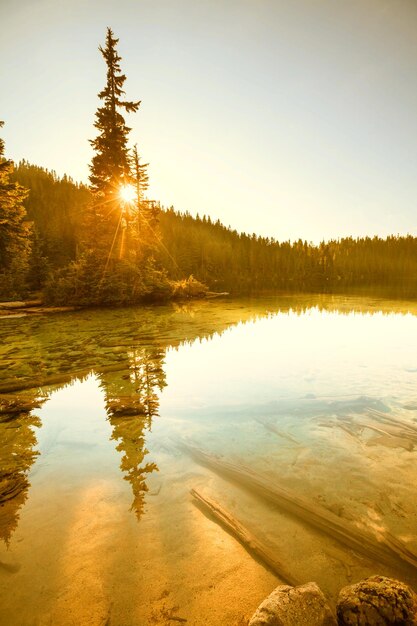 Foto lago in mt baker recreation areausa