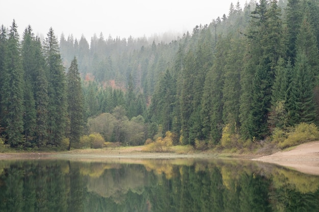 Lake in mystery fog with autumn forest Ghostly mountain lake Ukrainian lake Synevir