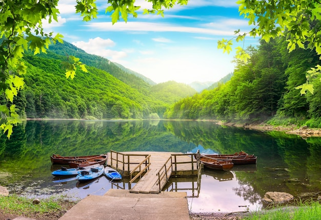 Lake in National Park