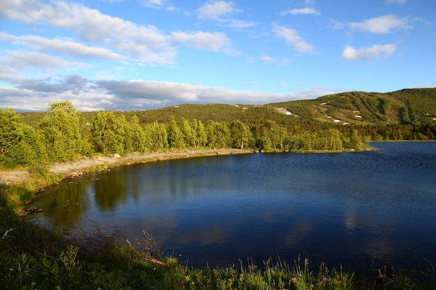 Lake in the nature