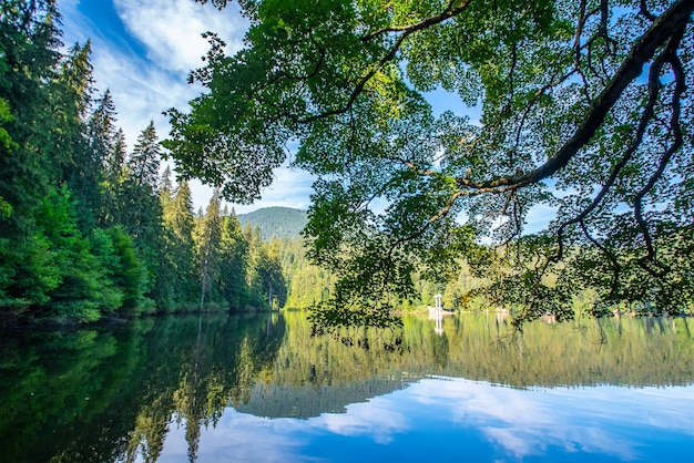 Lake near coniferous forest and mountains on a nice summer day Lake Synevir