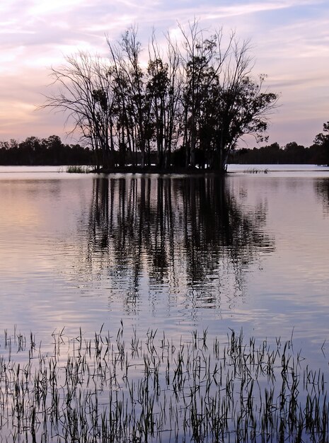 Photo lake near mina de s.domingos on alentejo, portugal, at sunset with some trees on it's middle.