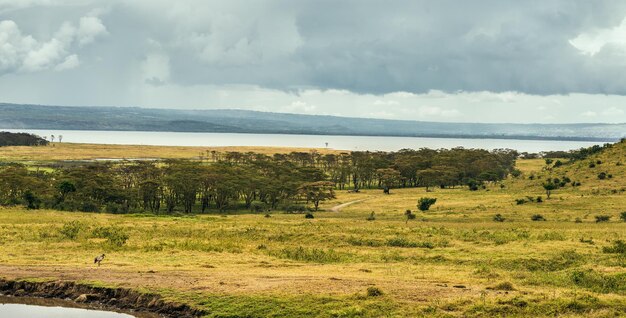 Foto lake nukuru kenia