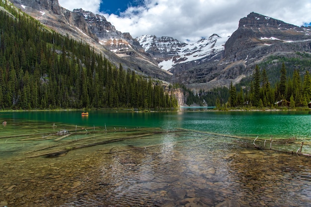 Foto traccia del lago ohara nel giorno nuvoloso in primavera, yoho, canada