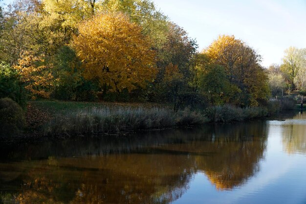 Lake in park in fall with trees reflecting in water