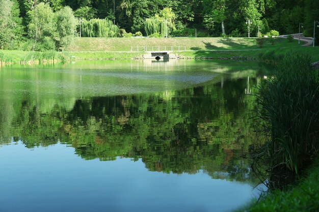 公園 Feofania キエフ ウクライナの湖