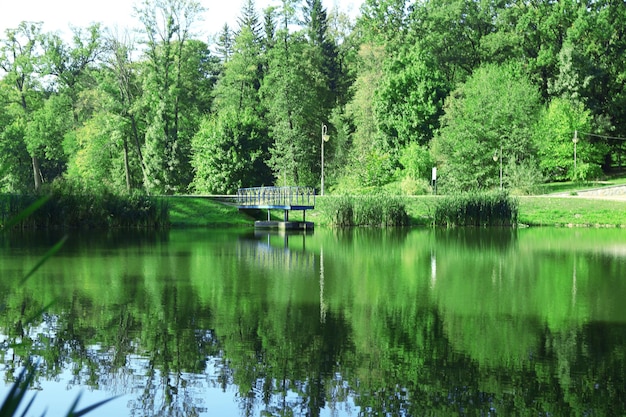 Lake in park Feofania Kiev Ukraine