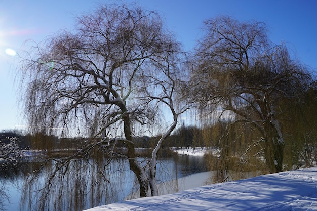 Lake in park on sunny day in winter