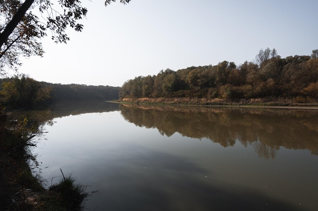 公園の湖暖かい秋の時間美しい秋の風景川の木々の反射