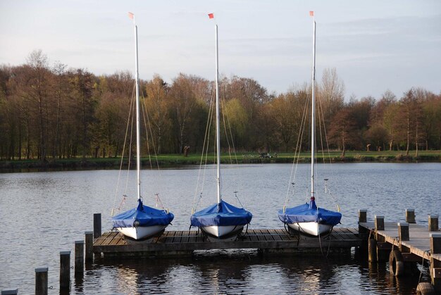 Foto lago di proebsting in germania.