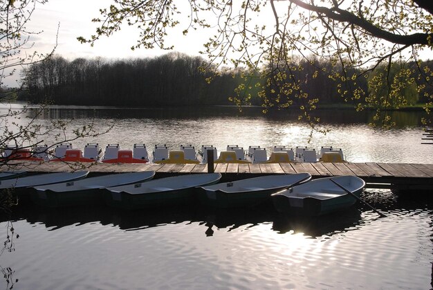 Photo lake proebsting in germany