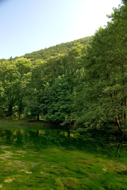 Photo lake in pure nature